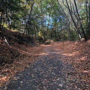 Meet your Posher, Sheila